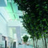 The internal street has a cafe and informal meeting areas