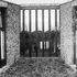 In the courtyard the window to the central spine also serves as a rooflight