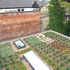 Plug planted sedum roof