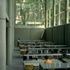 Study area