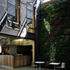The green wall brings a unique atmosphere to the courtyard