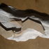 Clay model