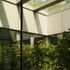 The first floor planted courtyard