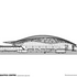 Longitudinal section (legacy mode)
