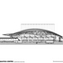 Longitudinal section (Olympic mode)