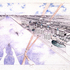 Ariel View