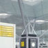 Structural trees contain signage and services