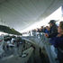 Museum crowds along the viewing balcony