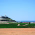 Bodegas Protos is situated in a small agricultural town in northern Spain