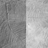 Concrete pathway detail