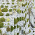 The garden is striking yet accessible