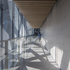 There is an interplay of light, shade and texture