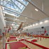 The gym