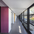 Alongside each corridor sits a strip of toilets and storage, a strip of classrooms and a strip of garden space