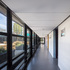 The design aims to bring in natural light