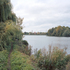 The Wetlands site is formed by 10 reservoirs, many dating back to the 19th century