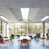 The exposed angular skylights