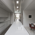 The kitchen