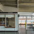 Salvaged timber lines the new information desk