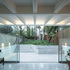 proctor-and-shaw-architects_hackney-extension_07_london_cben_blossom