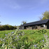 _dsc4234_settling_into_the_landscape