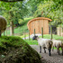 chatsworth_birdhide_photo_03