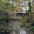 sk-eye_through_nature