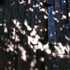 sk-eye_dappled_light