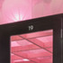 wra-tiger-and-pig-web-26