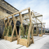 cbenblossom_ampstudio_s_lr-7