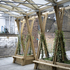 cbenblossom_ampstudio_s_lr-9