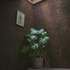 studio_bark_corkstudio_7