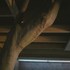 studio_bark_corkstudio_10_0
