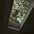 studio_bark_corkstudio_8