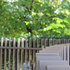 st_marks_image_10