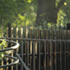 st_marks_image_4