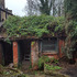greenwich_garden_studio_-_before_outside_-_luke_nagle