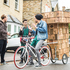 green_shed_5_charlotte_levy