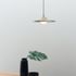 photos_13._charcoal_house_-_table_detail_-_2657x4000_0