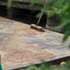 community_kiln_1_central_saint_martins_01_0