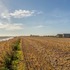 cliff_view