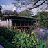 The Clubhouse