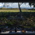10_house_in_wales_mea_max_creasy