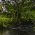 patrick_bradley_architects_grillagh_water_studio_1