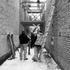 230_slothouse_frame2