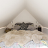 34._sisters_haus_truro_road