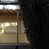 hugh_strange_eucalyptus_ii_dg_04