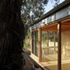 hugh_strange_eucalyptus_ii_dg_16