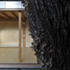 hugh_strange_eucalyptus_ii_dg_03