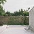 fpa_purley_lorenzo_zandri_c_2020-12